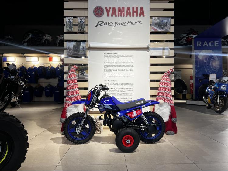 PW50 2025 EDITION GYTR PACK LITTLE CHAMPION 
