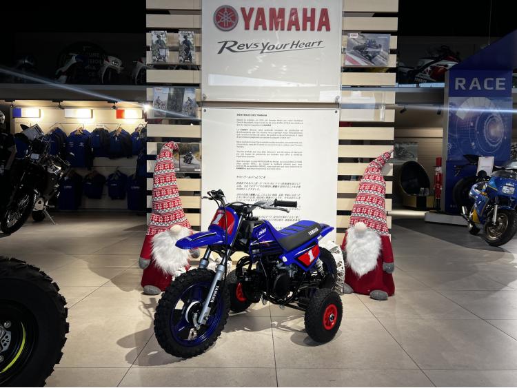PW50 2025 EDITION GYTR PACK LITTLE CHAMPION 