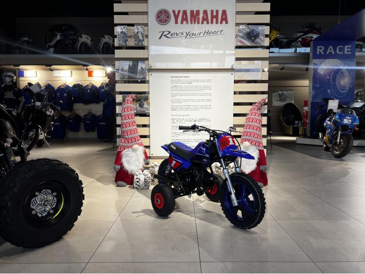 PW50 2025 EDITION GYTR PACK LITTLE CHAMPION 