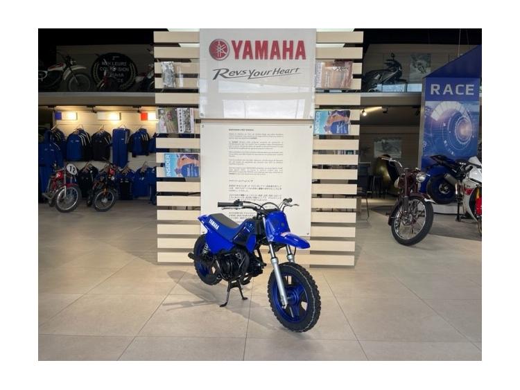 PW50 ICON BLUE 43€/MOIS*