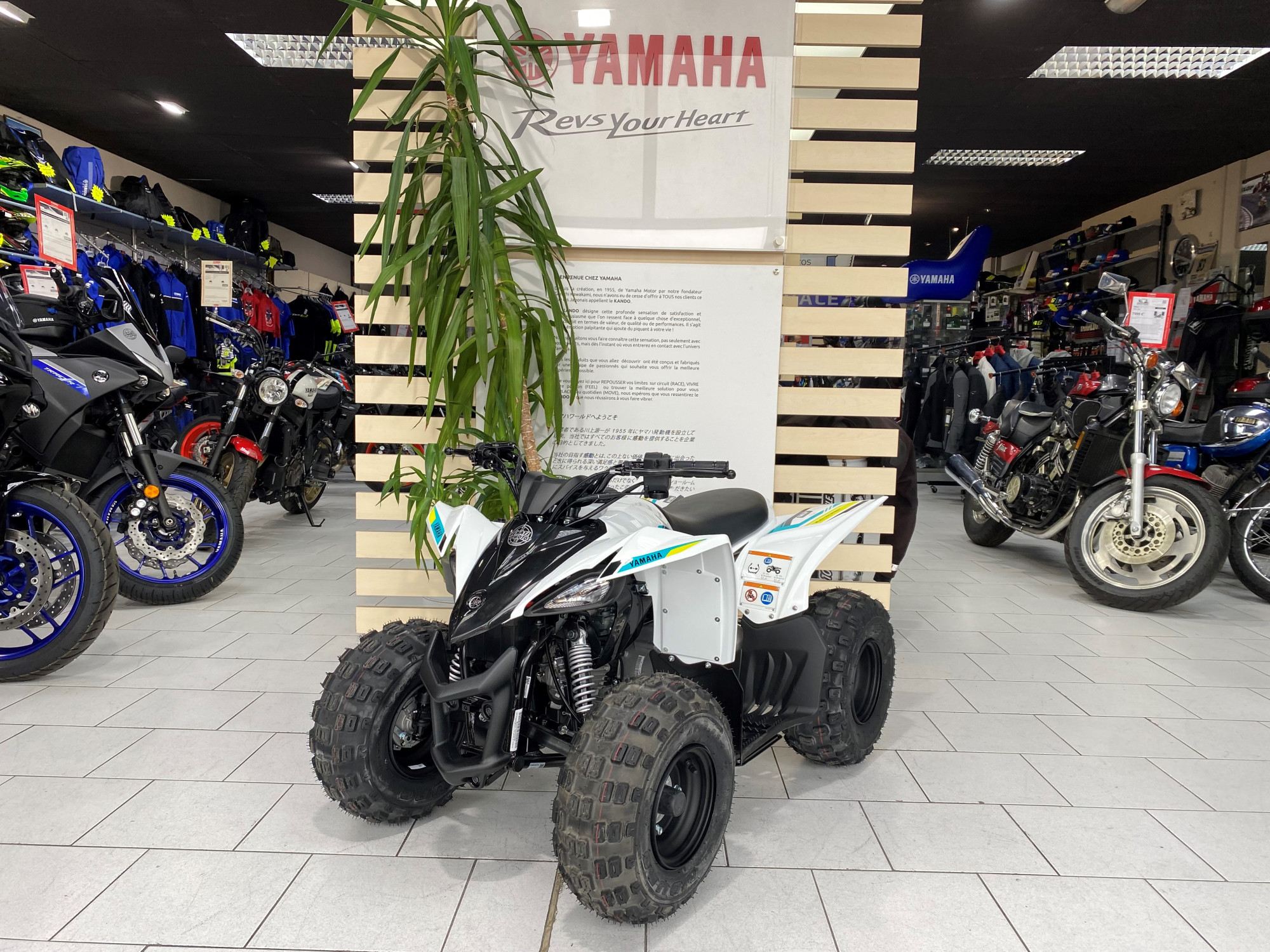 Quad YFZ 50 RAPTOR 59€/MOIS* neuf